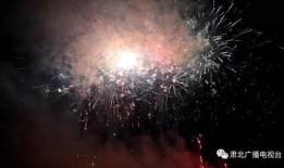 春节烟花秀爆料视频,春节烟花秀惊艳亮相